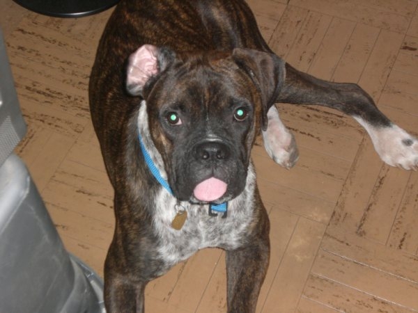 dobby kiss 7-17-2010