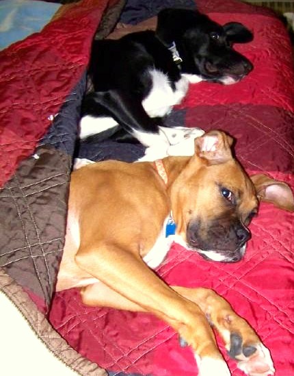 oakleynphoenixinbed oakleynphoenixinbed