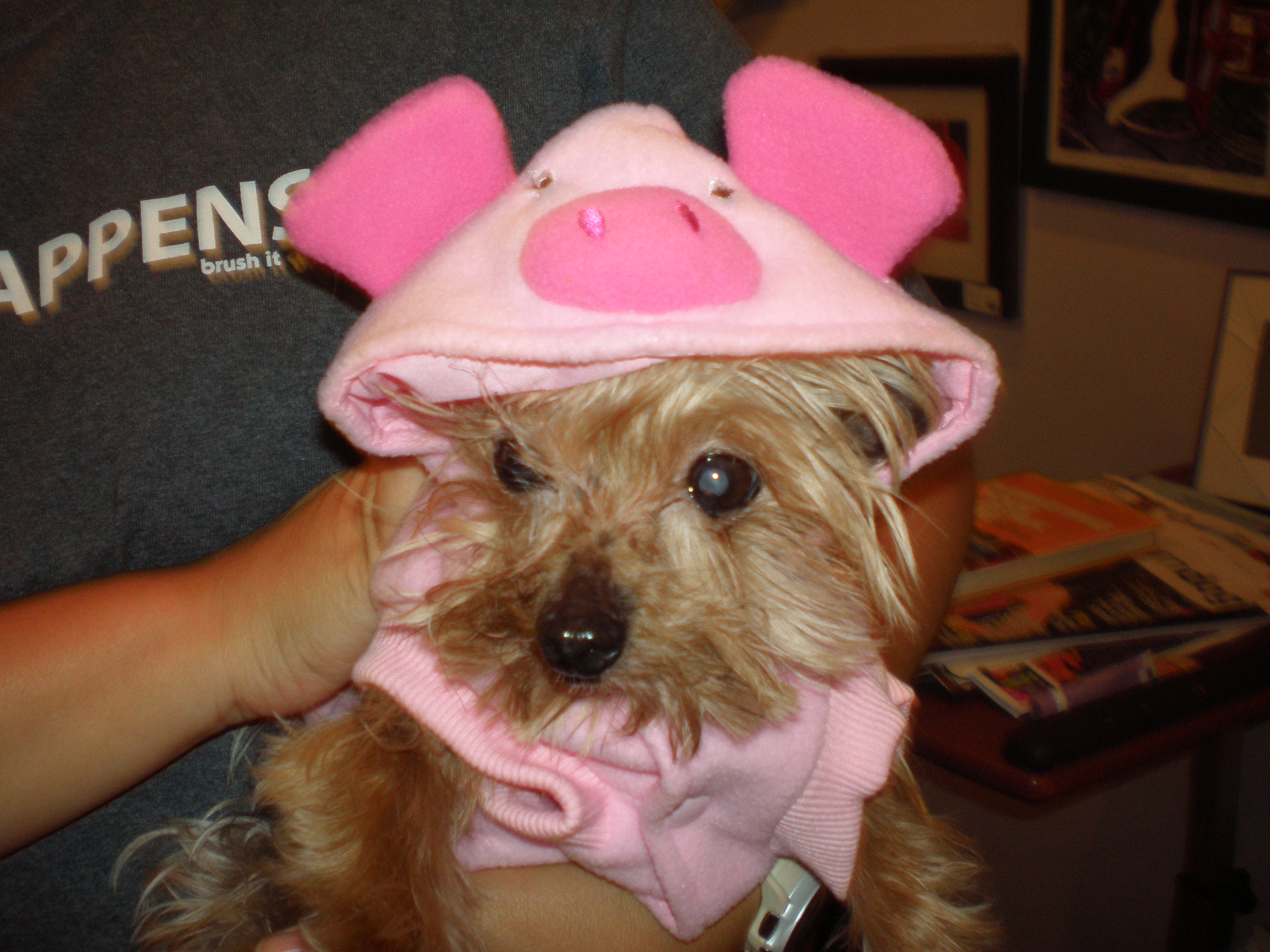 Adell Piggy Adell Piggy