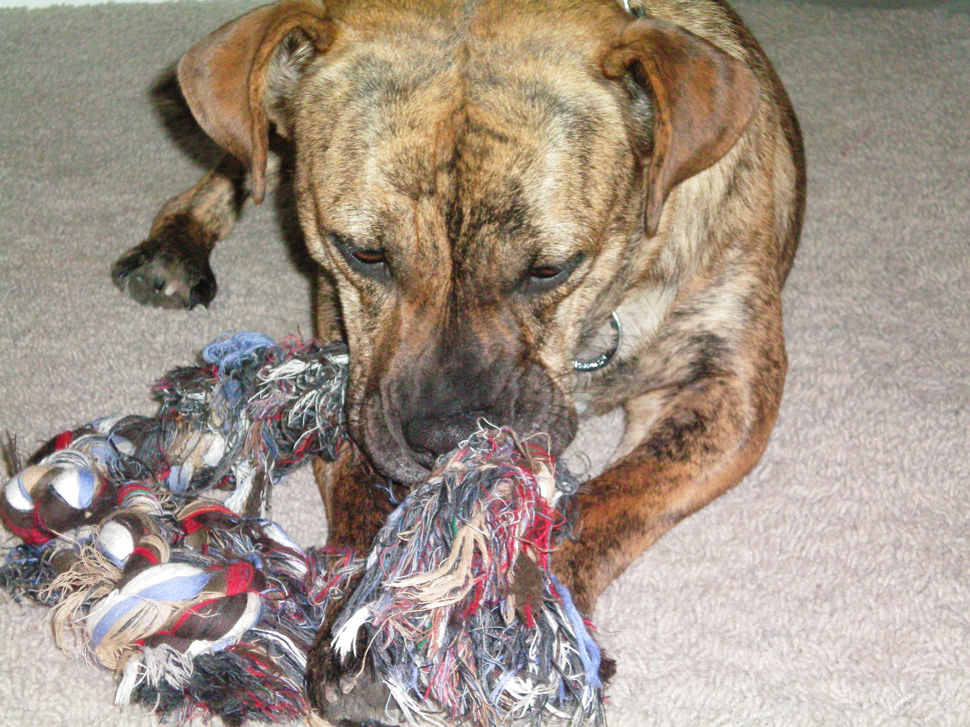 Otto Rope Otto Rope