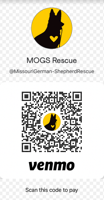 Venmo QR