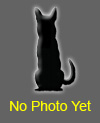 Generic Thumbnail