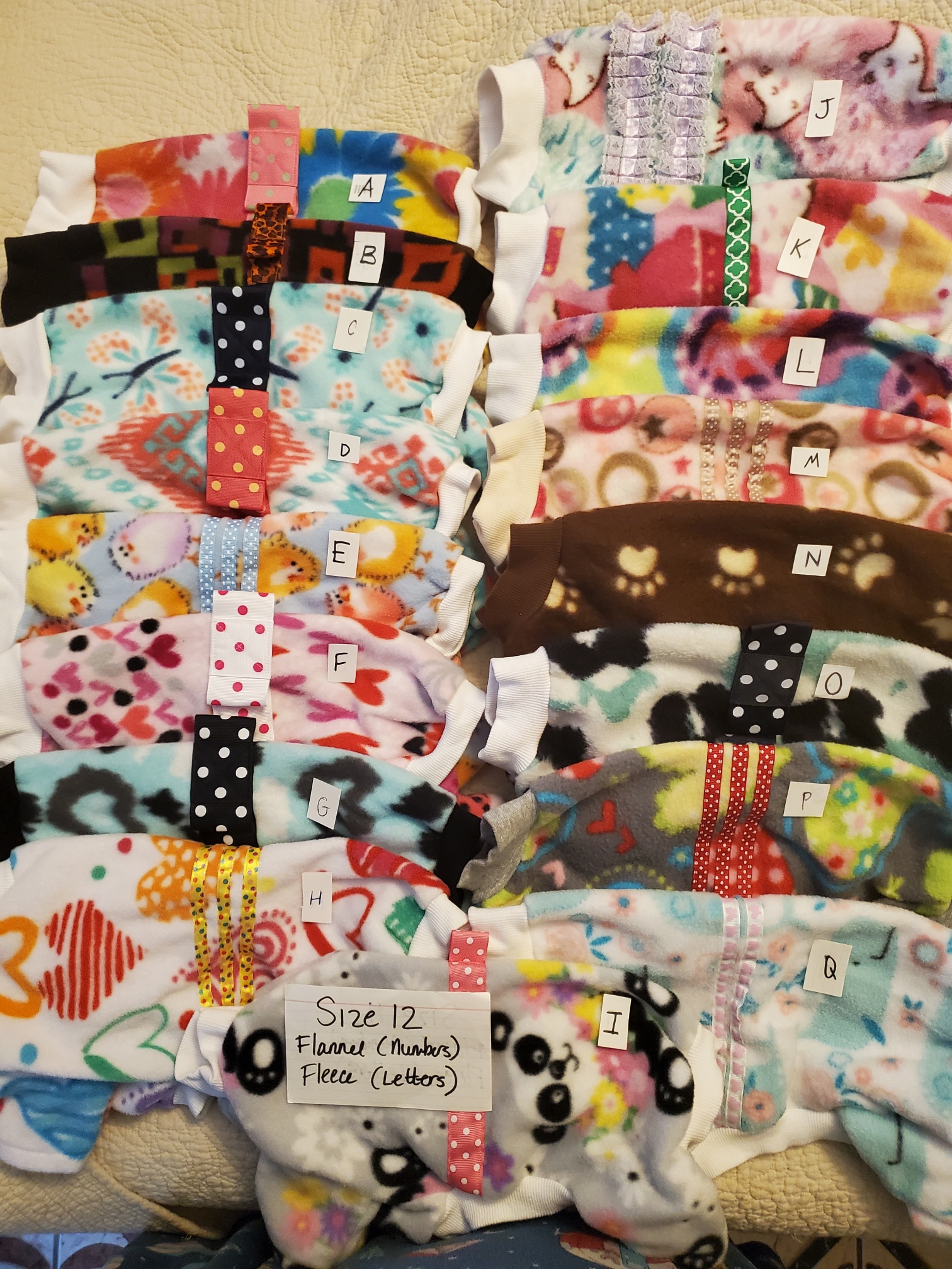 2025 size 12 a q 2025 size 12 a q