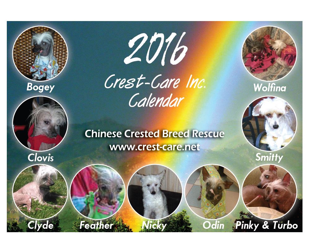 2016 calendar cover 2016 calendar cover