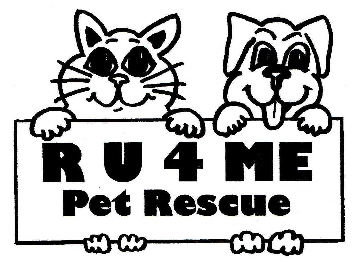welcome-to-ru4me-pet-rescue