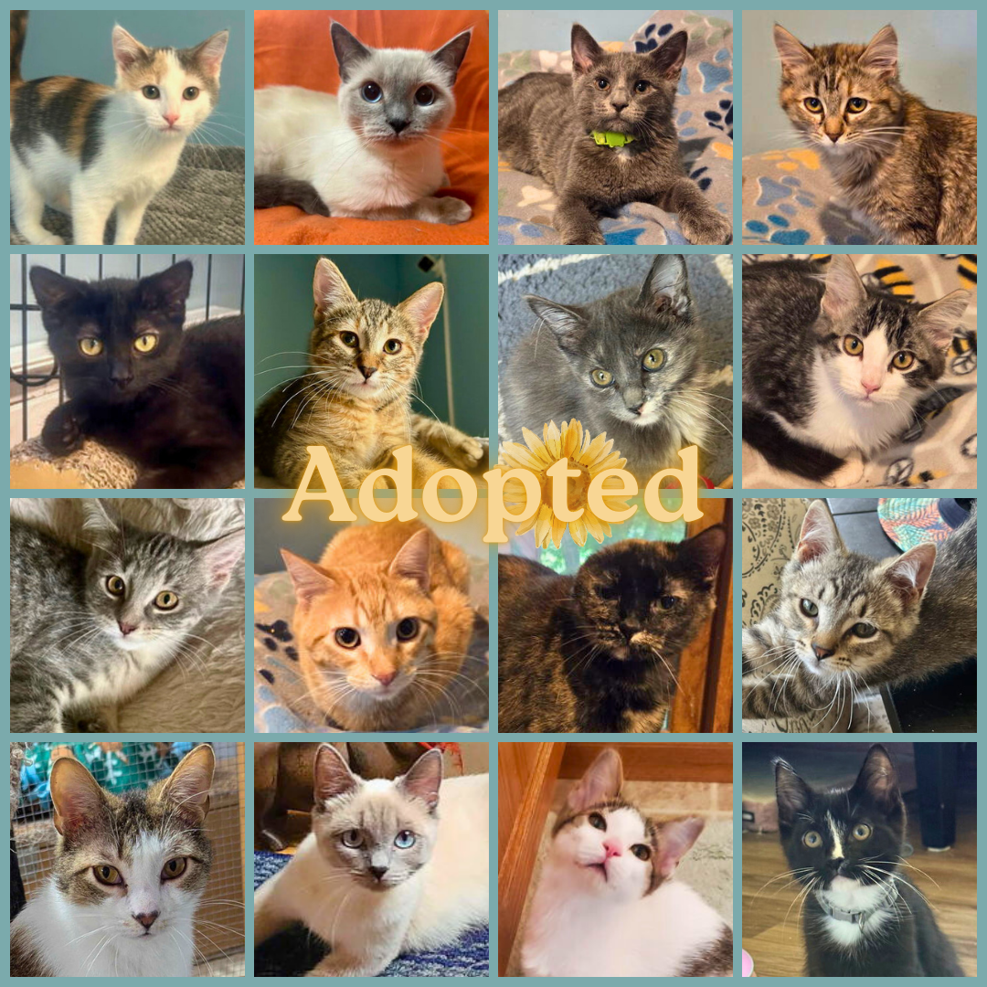 Adopted 9/5/25 Adopted 9/5/25