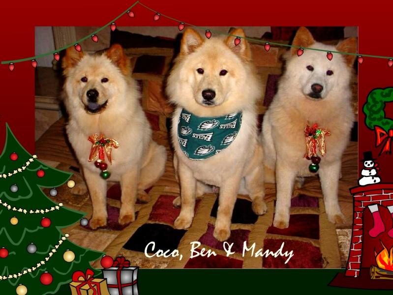 Mary Oetzel Christmas Pups - 2005 Mary Oetzel Christmas Pups - 2005