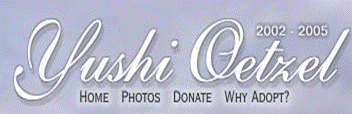 Yushi Memorial Top Yushi Memorial Top