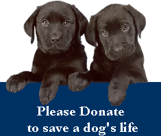 BlackLabs(2) BlackLabs(2)