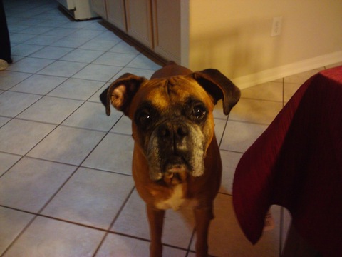 ROSCO ROSCO