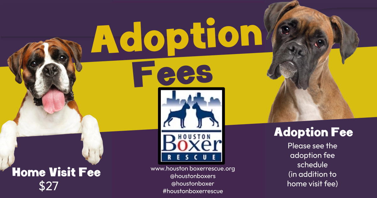 Adoption Information