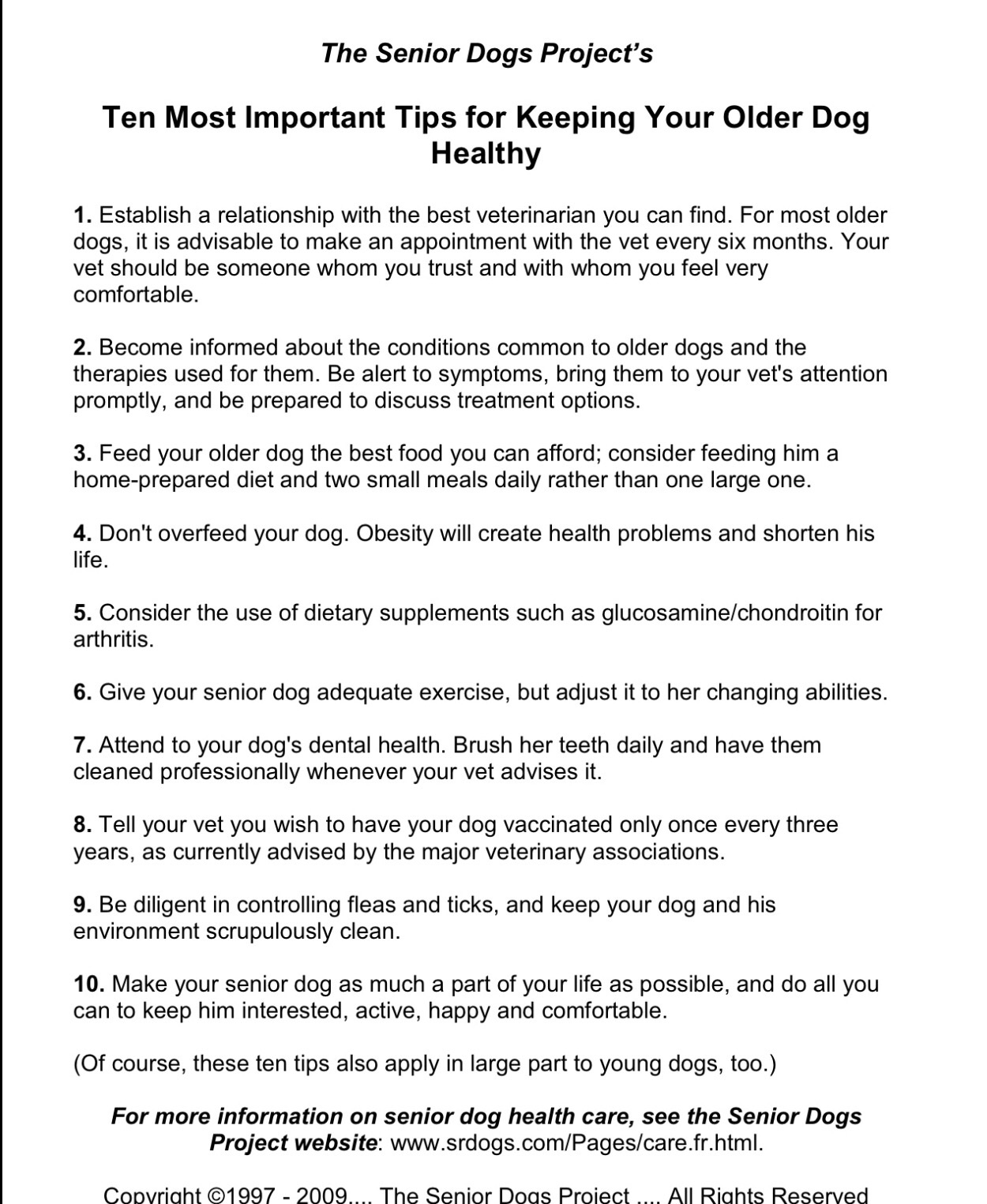How To Keep An Older Dog Healthy