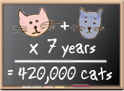 chalkboard