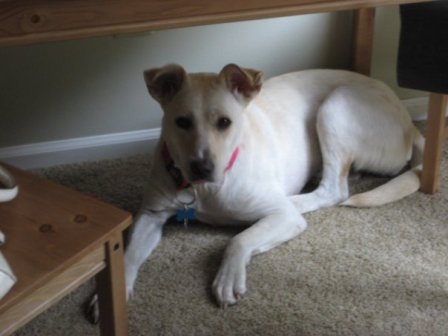 Sadie III 7.25.10