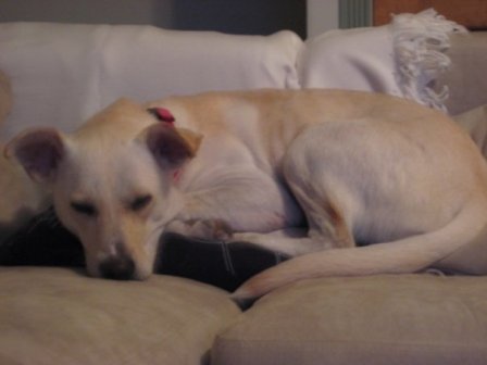 Sadie II 7.25.10