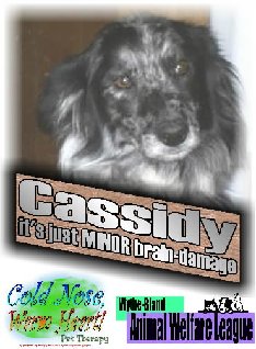 Cassidy Cassidy