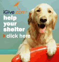 igive igive