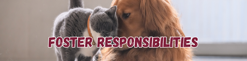 2025 foster resp 2025 foster resp