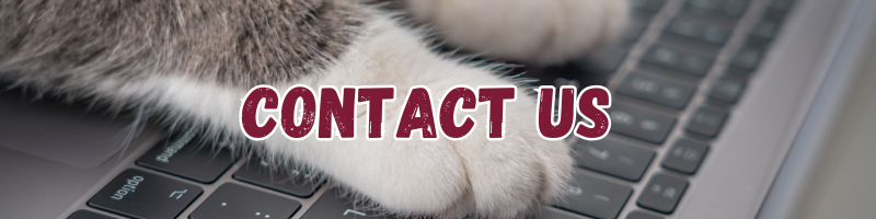 2025 contact us 2025 contact us