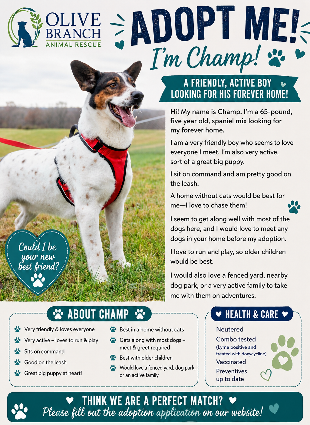 Champ for adoption
