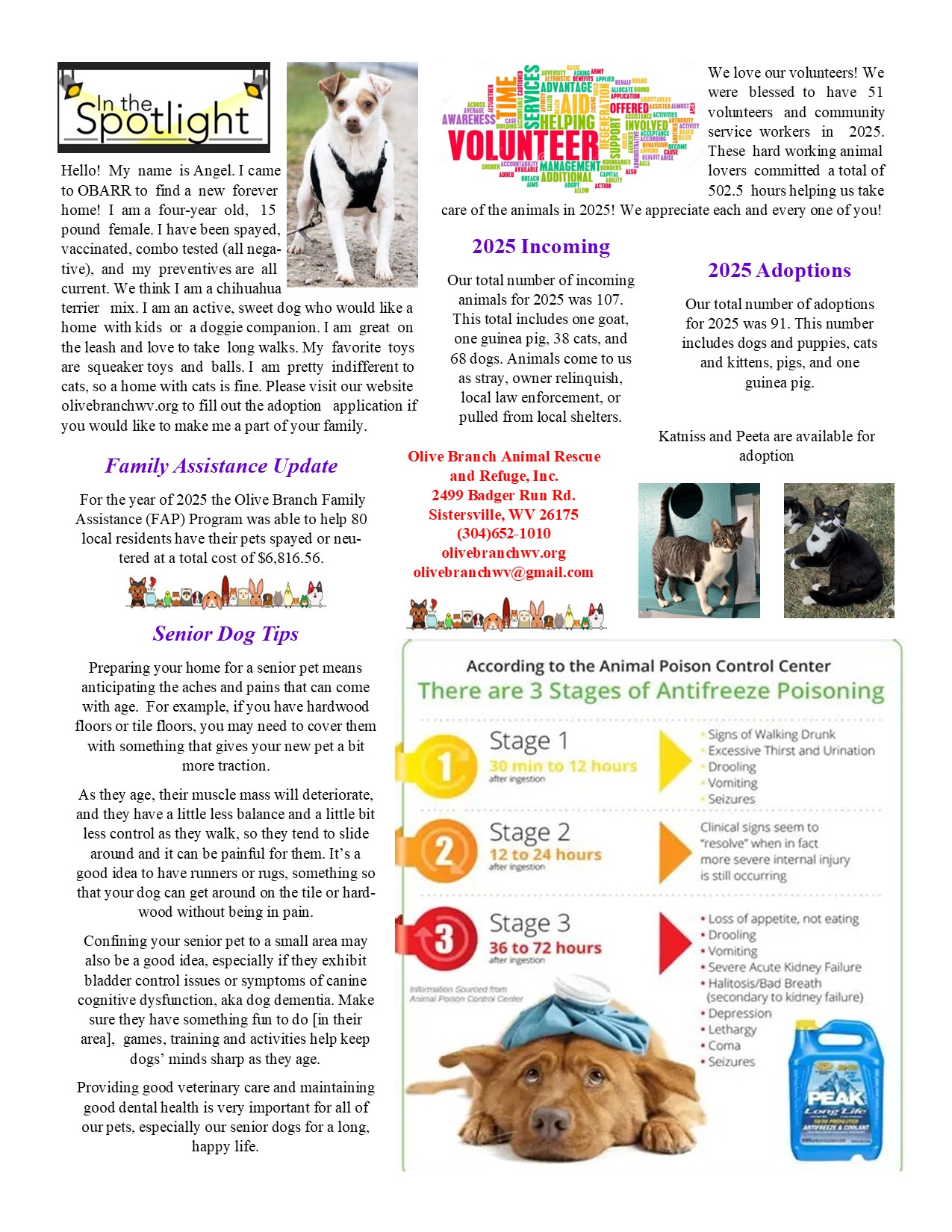 Newsletter Jan to April 2026 page 2