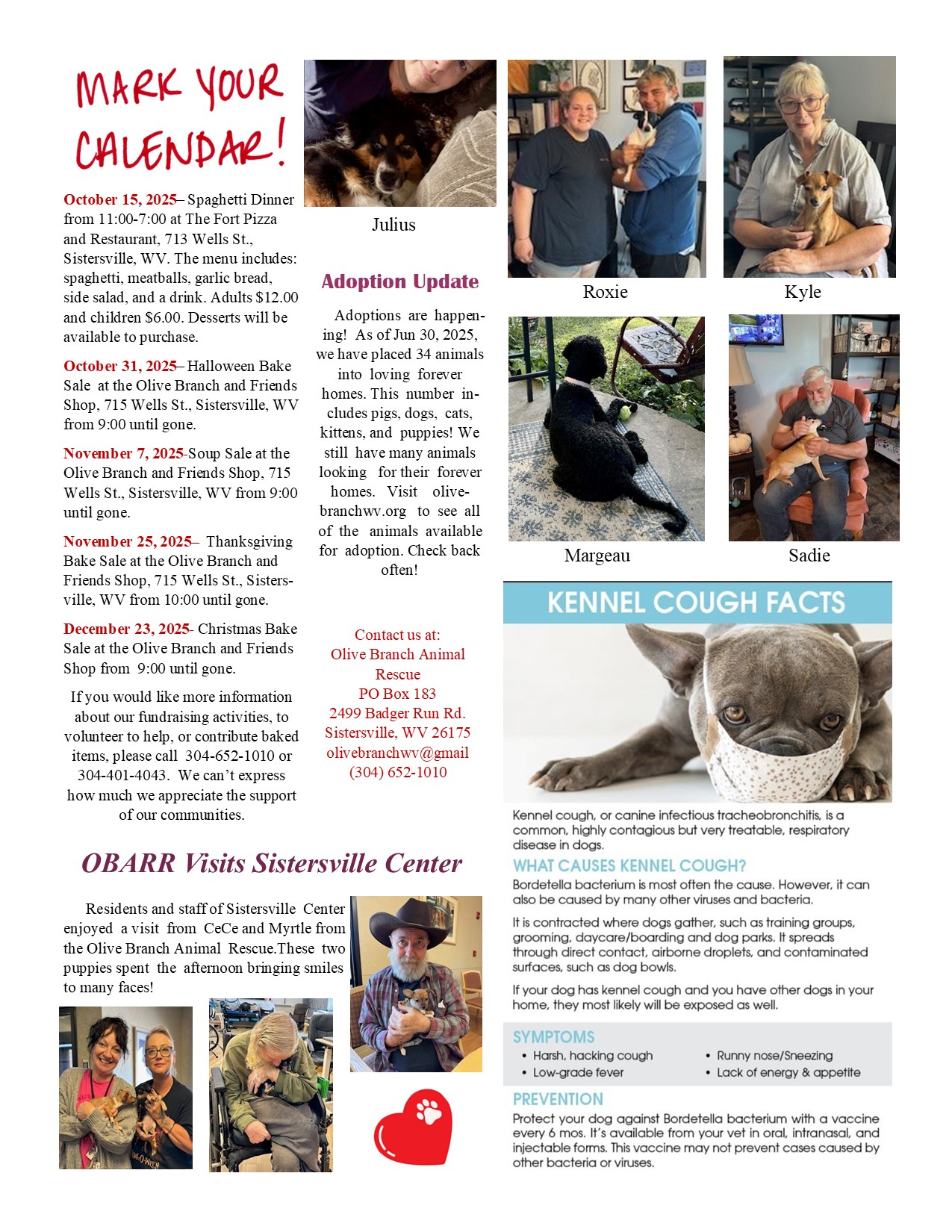Newsletter Oct to Dec 2025 Page 2
