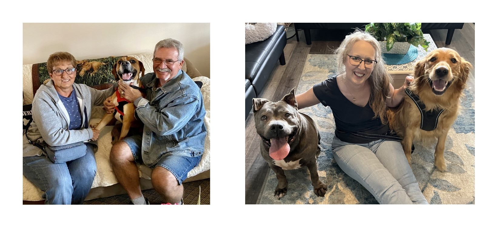 Adoption Ella and Guapo Adoption Ella and Guapo