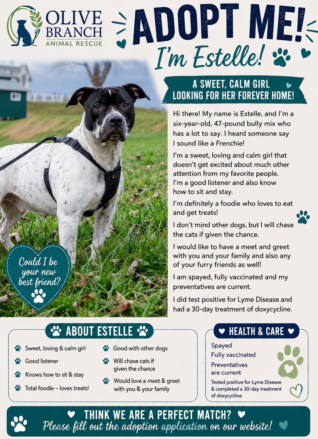 Estelle's Flyer