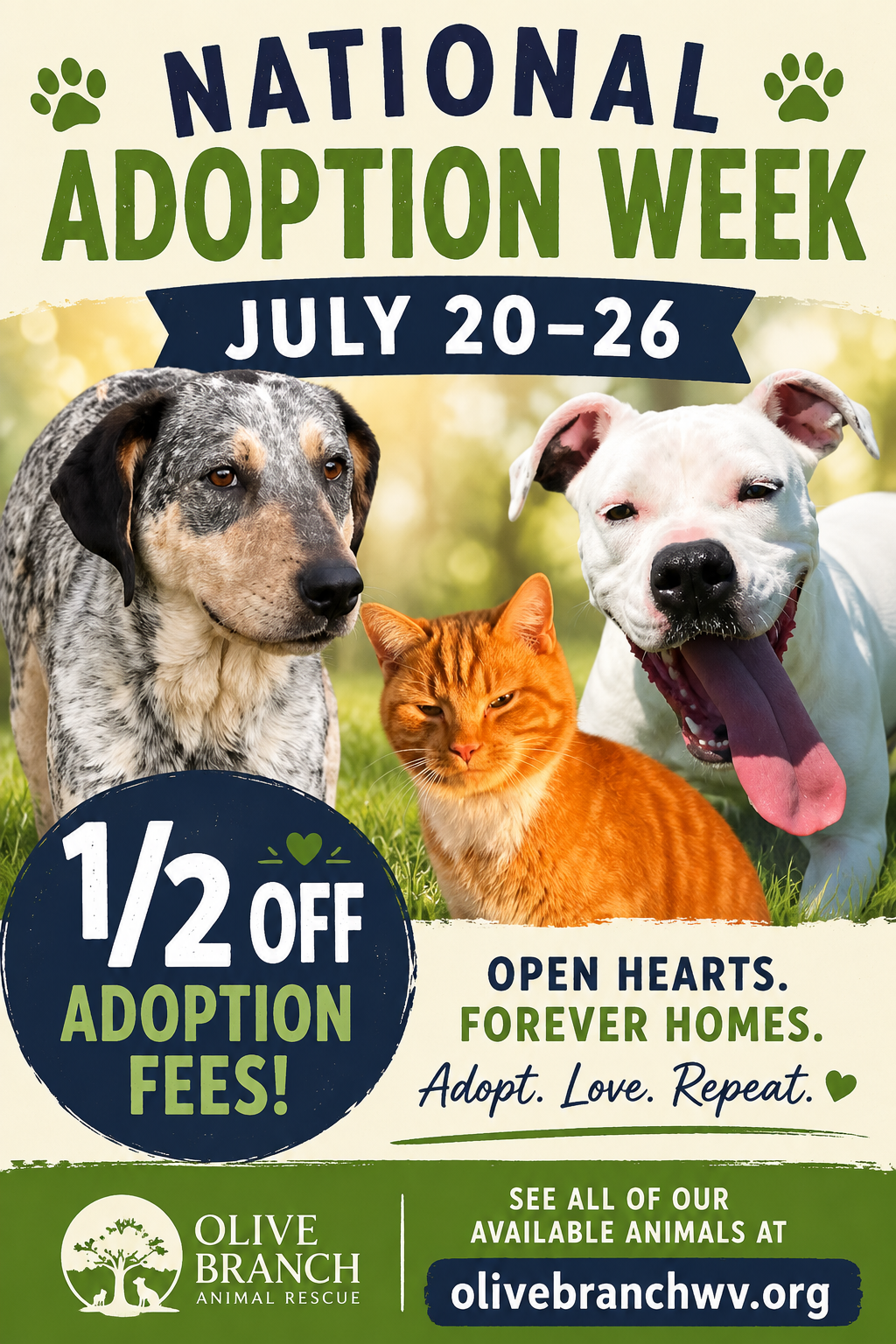 National Adoption Week