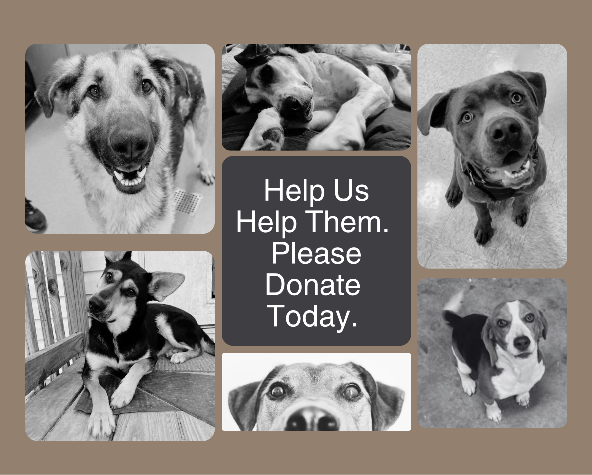 Help Us Help Them