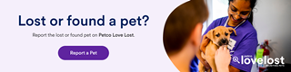 Petco Lovelost Banner 2026