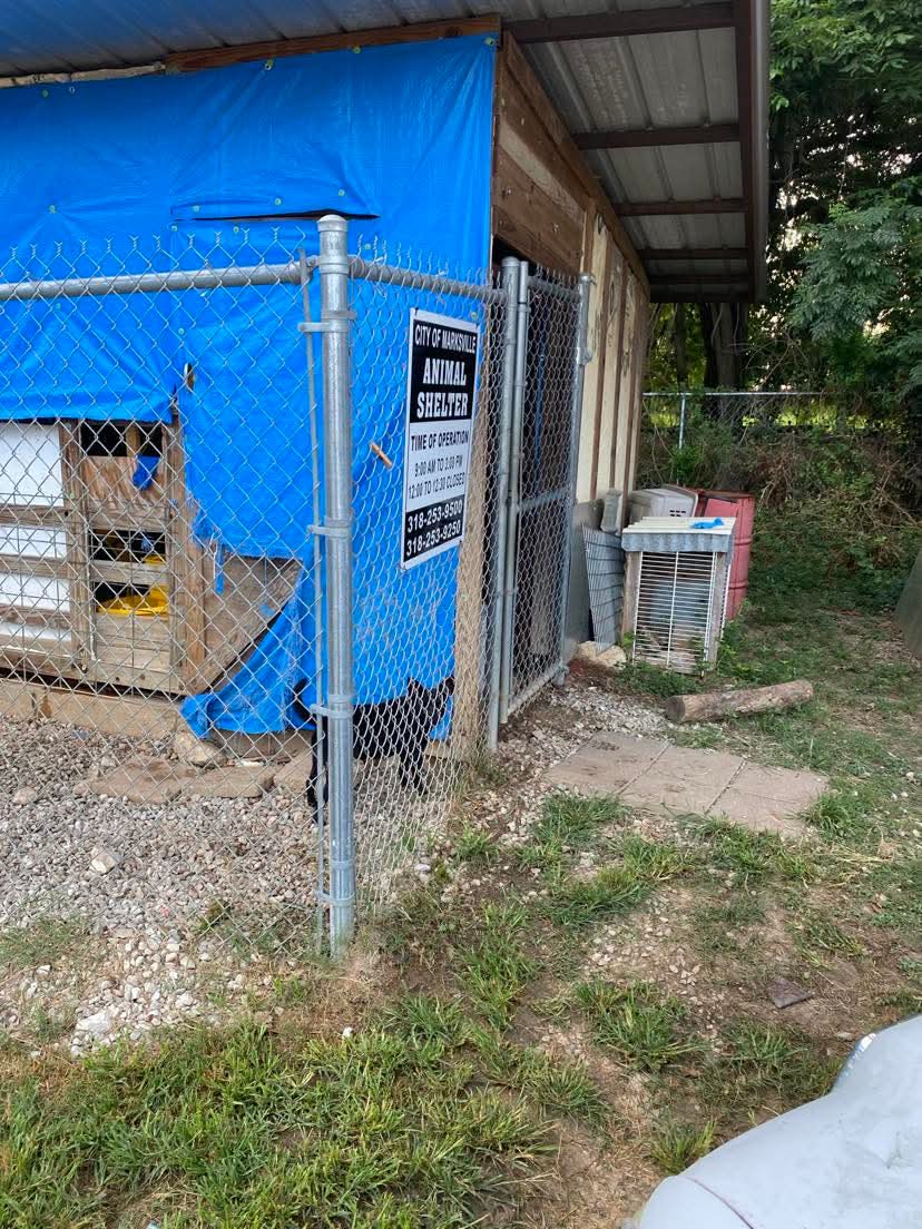la shelter 1