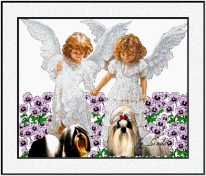 angels n dogs angels n dogs