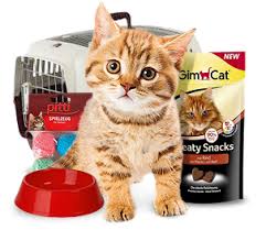 supplies