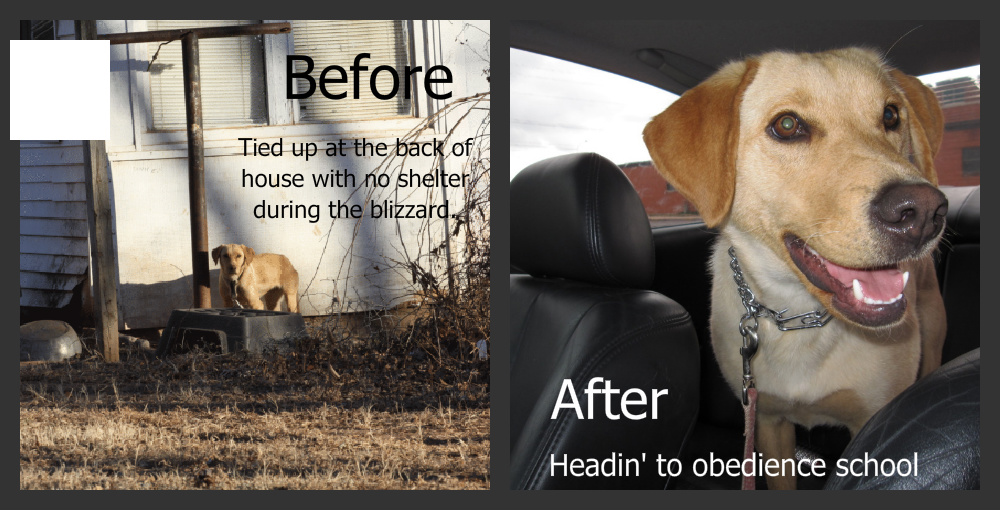 Teila Before and After Teila Before and After