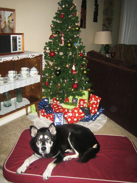 Xmas1 Xmas1