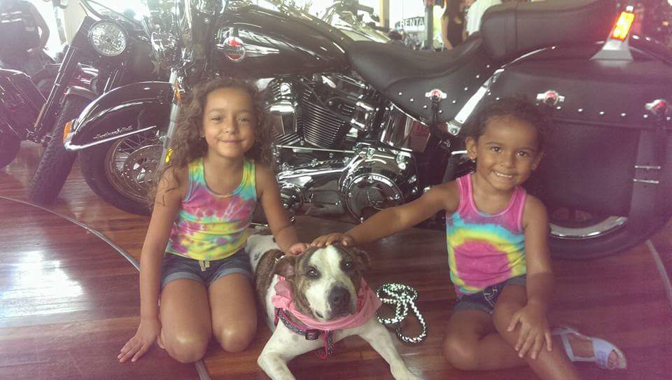 2016 HARLEY 1 2016 HARLEY 1