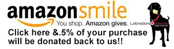 Click and shop Amazon and donate to us too