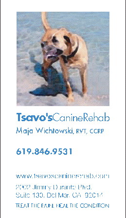 TsavosCanineRehabilitation TsavosCanineRehabilitation