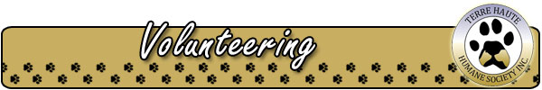 Volunteering Banner Volunteering Banner