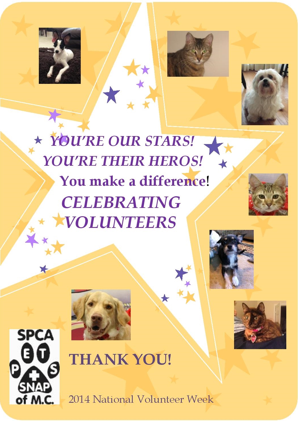 Thank You Volunteers Thank You Volunteers