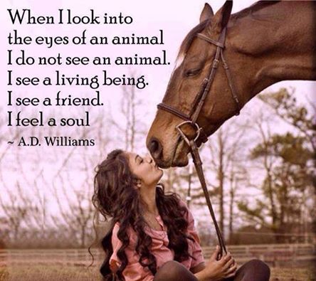 when I look when I look