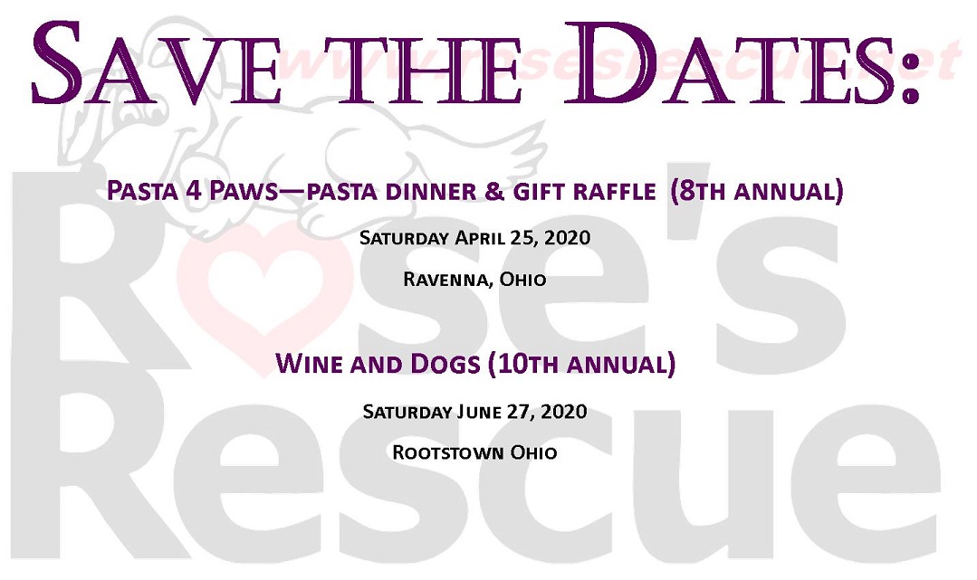 save the dates 2020 save the dates 2020