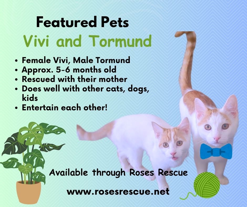 Featured Pet-Vivi & Tormund