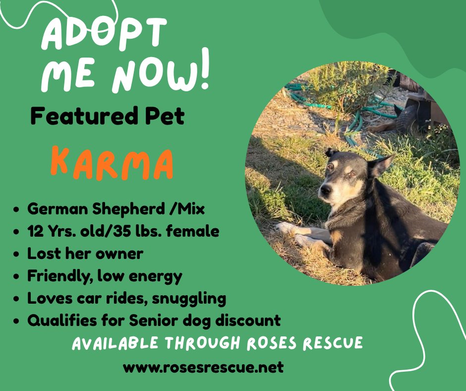 Featured Pet - Karma Featured Pet - Karma