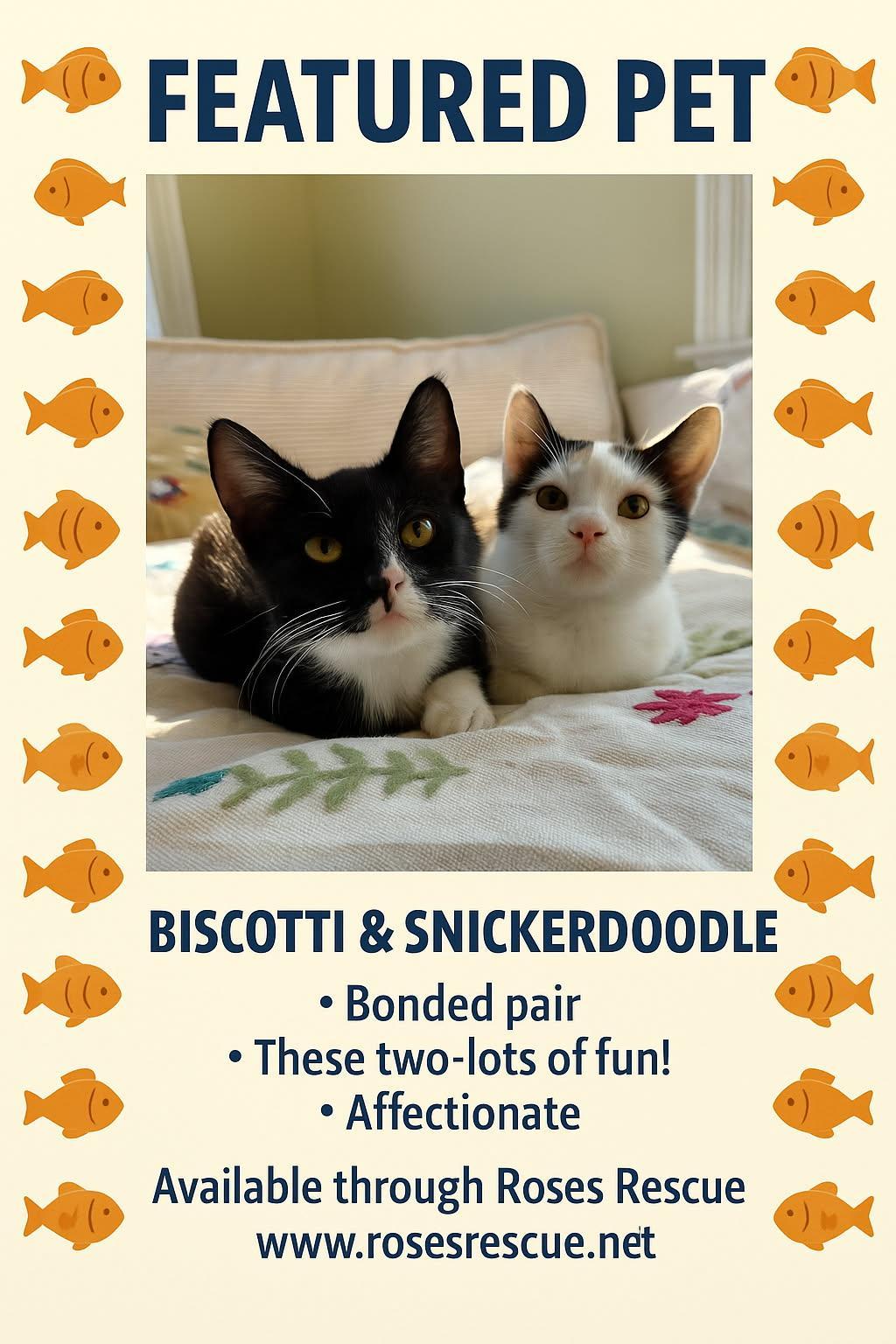 Featured Pet Biscottie & Snickerdoodle