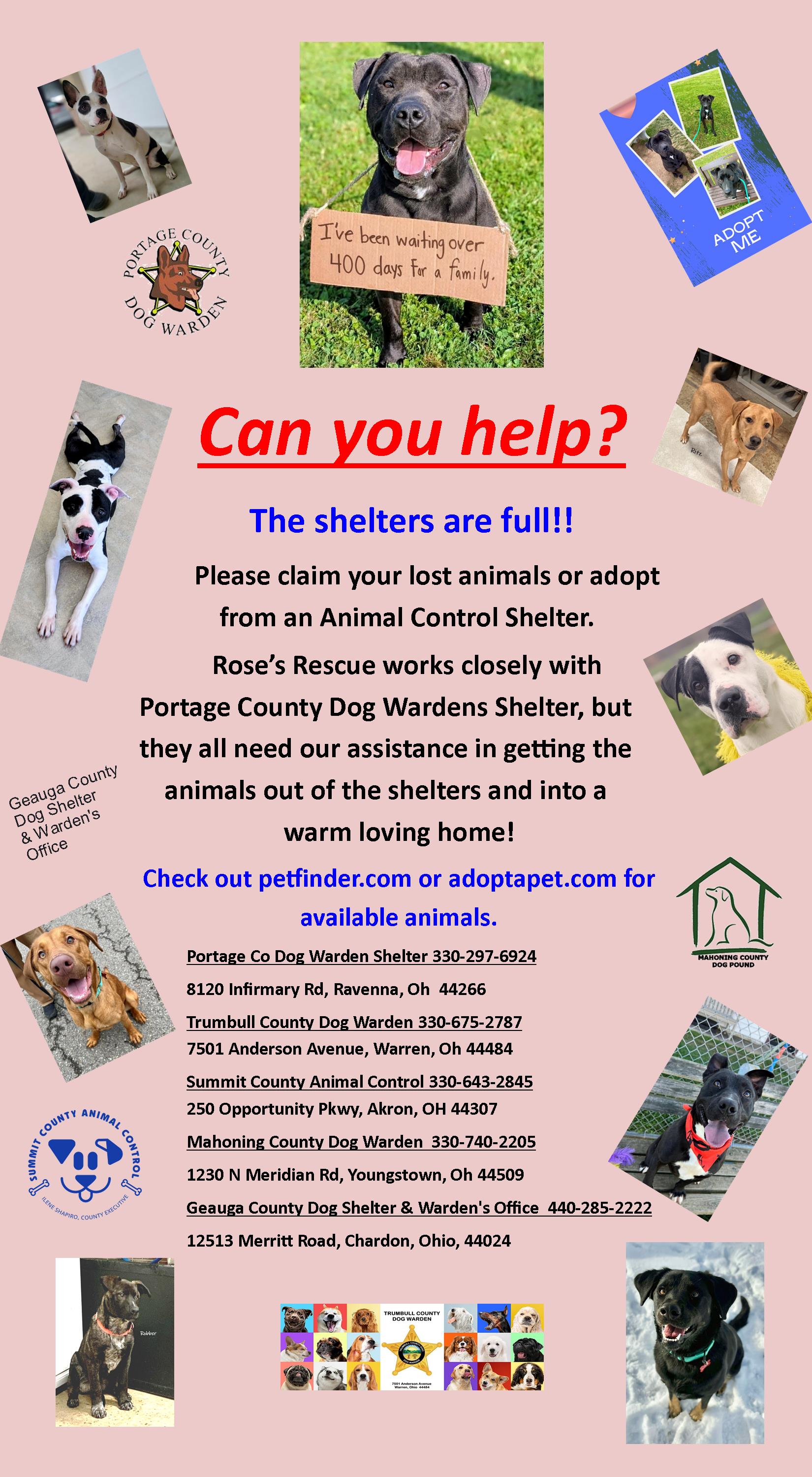 Help the shelter post 1/2026