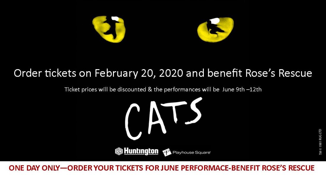 Cats 2020#2 Cats 2020#2