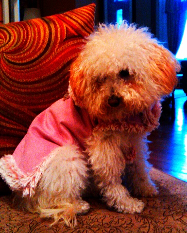 WATN Winterbella 11/11