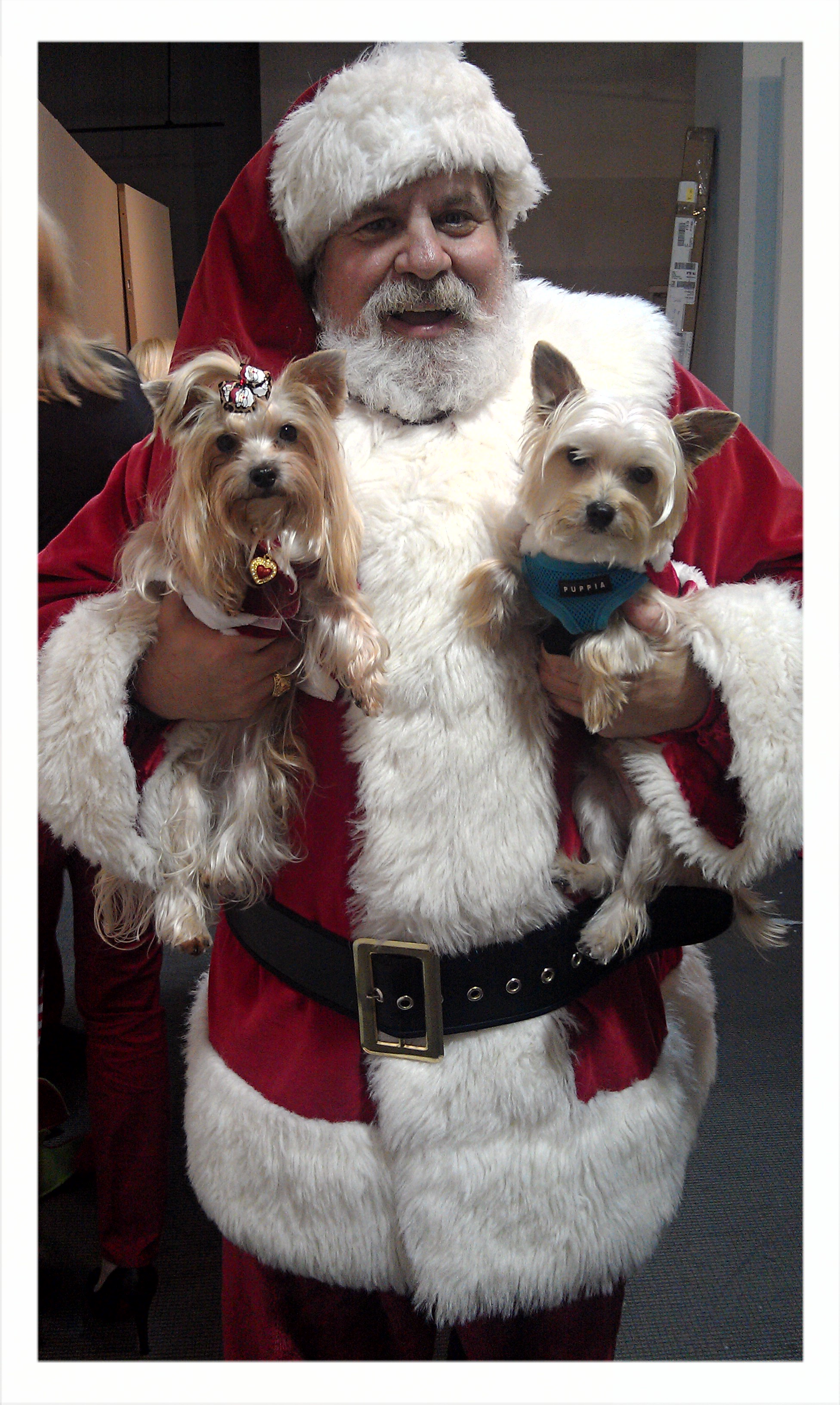 12 Howliday Daisy Dukes & Brady Bones